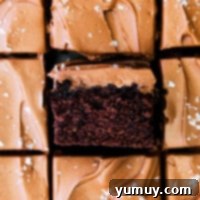 featured double chocolate cake