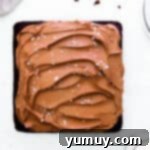 overhead chocolate cake with chocolate frosting