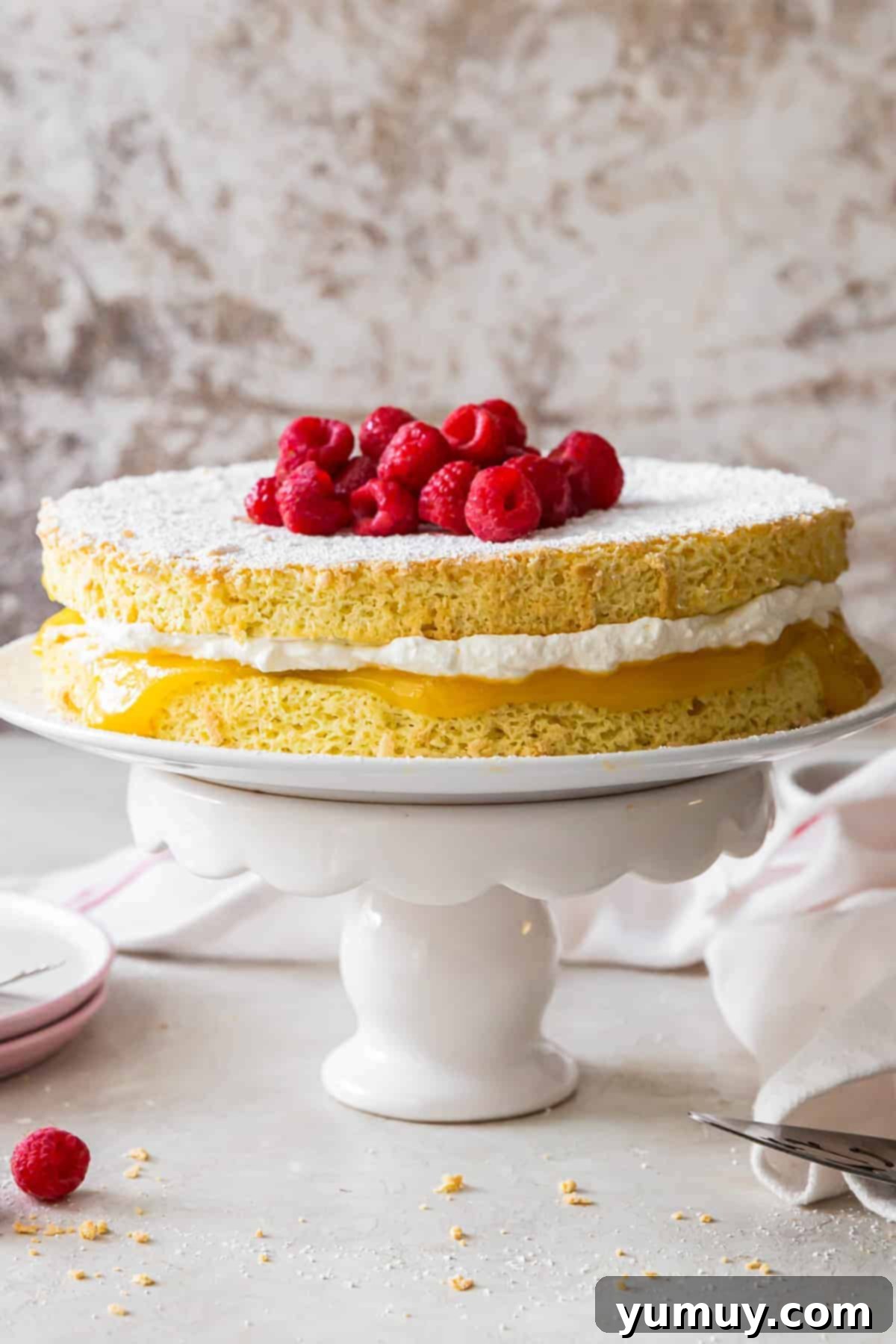 Pan di Spagna 2 Light and airy Italian sponge cake on a cake stand, ready to be served.