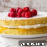 Pan di Spagna 11 Finished Italian sponge cake, filled with lemon curd and whipped cream, garnished with fresh berries and powdered sugar.