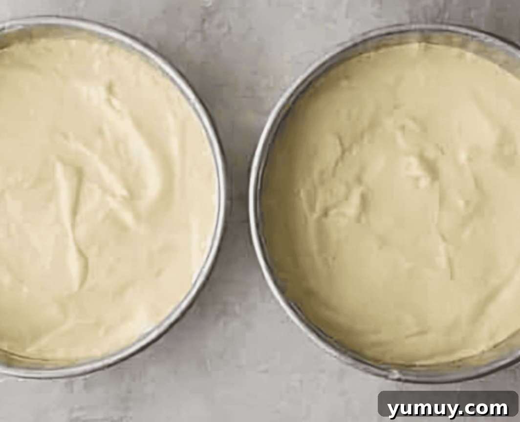 Pan di Spagna 16 Smooth, airy sponge cake batter carefully divided between two parchment-lined round cake pans.