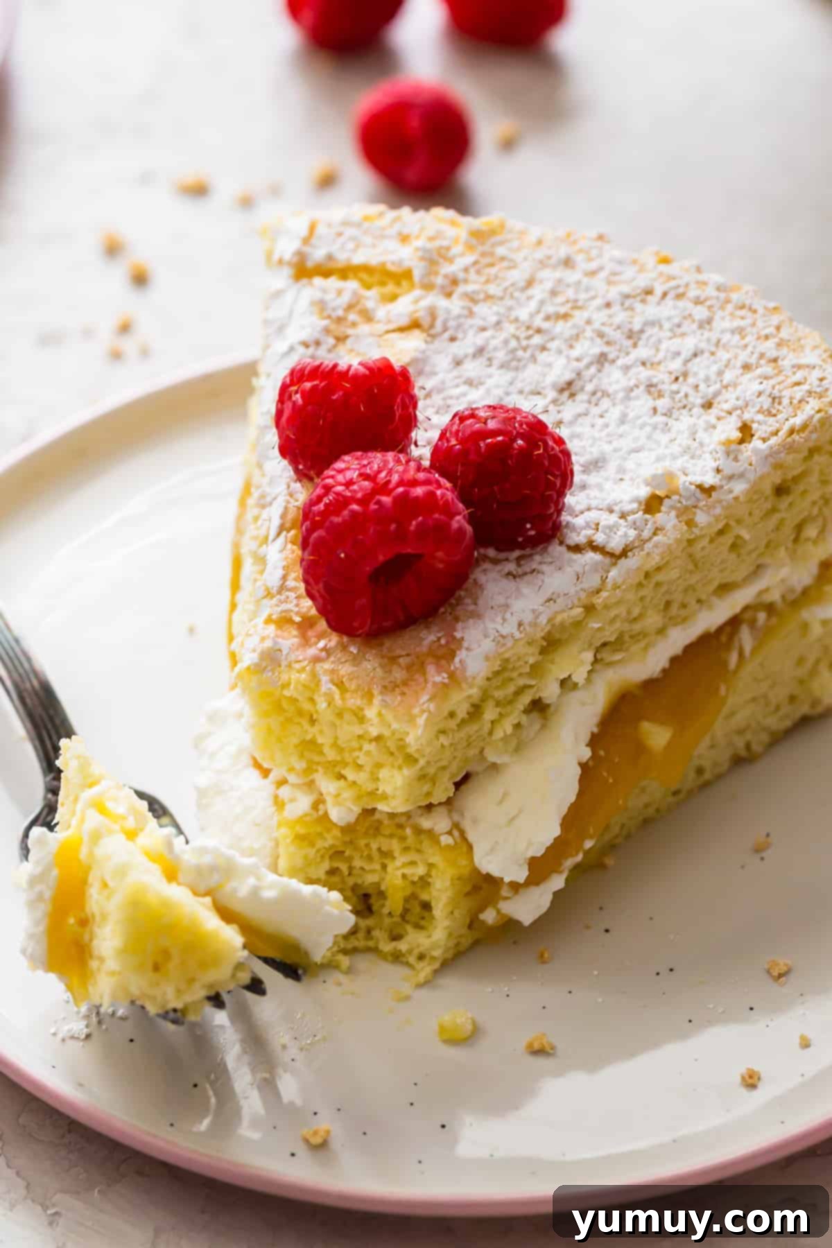 Pan di Spagna 3 A delicate slice of layered Italian sponge cake with cream, lemon curd, and fresh berries.