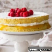 Pan di Spagna 4 Featured image of a golden Italian sponge cake.