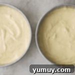 Pan di Spagna 9 Sponge cake batter divided evenly into two round cake pans before baking.