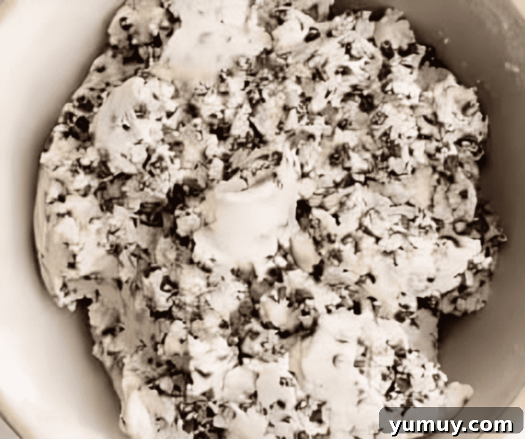 Rich chocolate chip cookie dough in a bowl, ready for chilling.