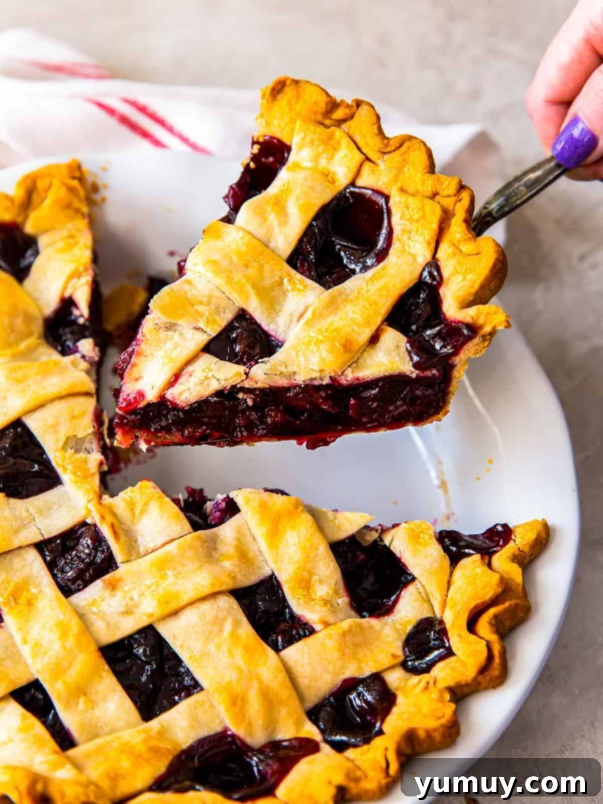 A close-up view of a slice of traditional lattice cherry pie being lifted from the pie plate.