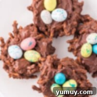 4 birds nest cookies on white plate