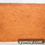 a square cake in a baking pan with a pink towel.