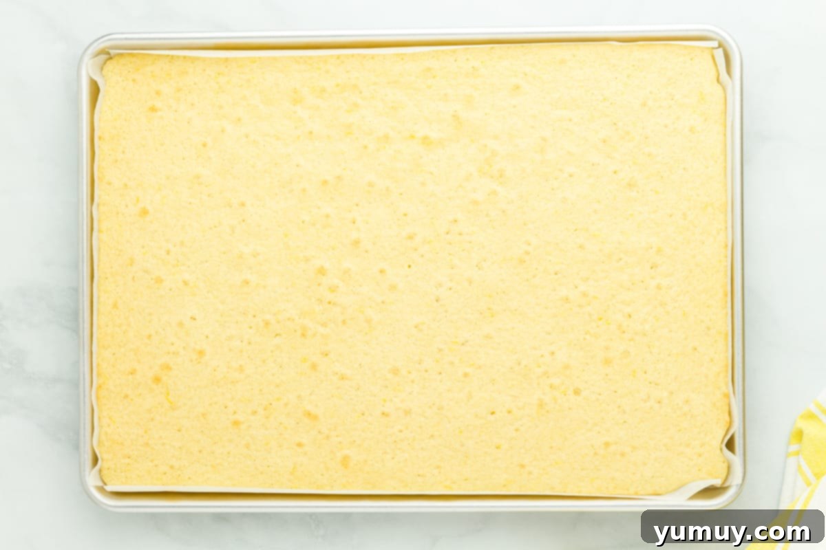 Sunshine Lemon Sheet Cake 12 A beautifully golden-baked lemon sheet cake sitting in its pan, showcasing its perfect rise and inviting texture.