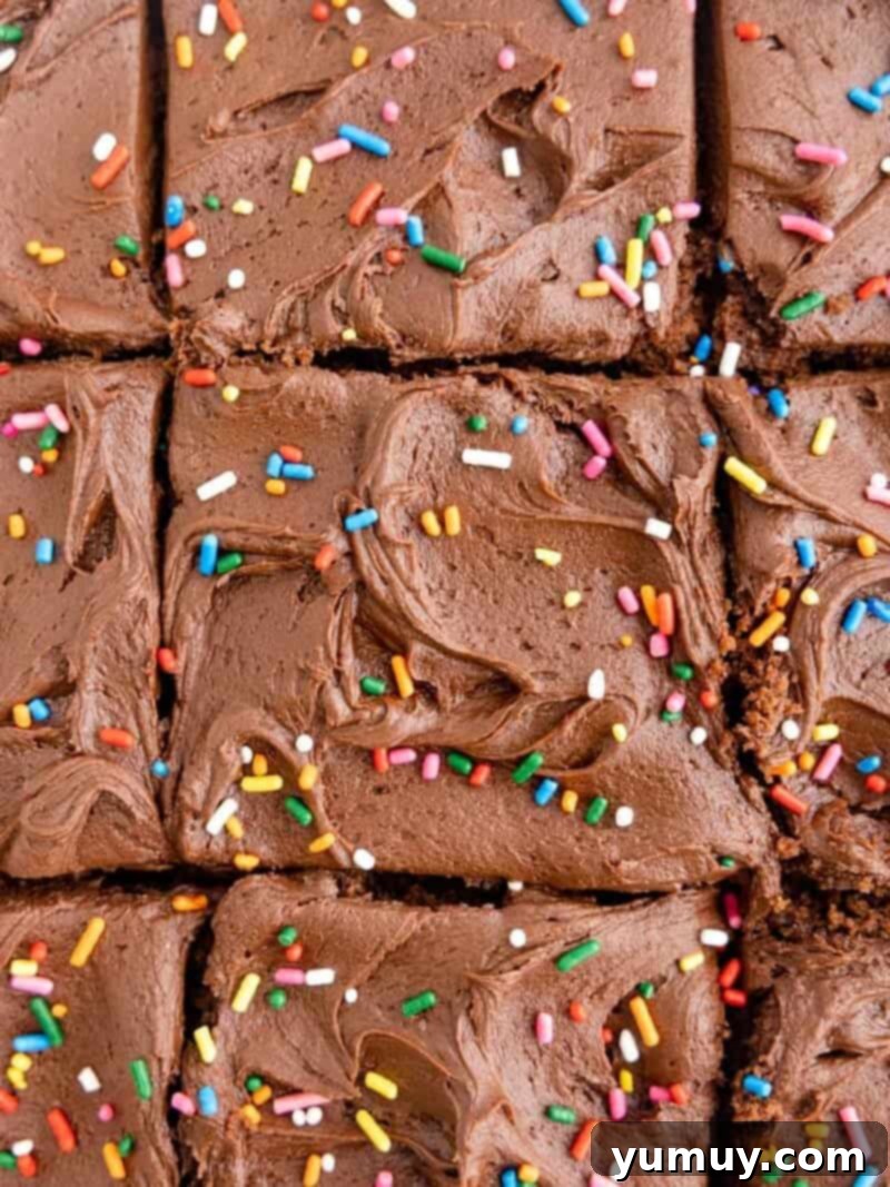 close cup on creamy chocolate frosting and sprinkles, spread on top of a chocolate cake.