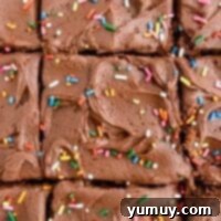 a close up of chocolate fudge brownies with sprinkles.