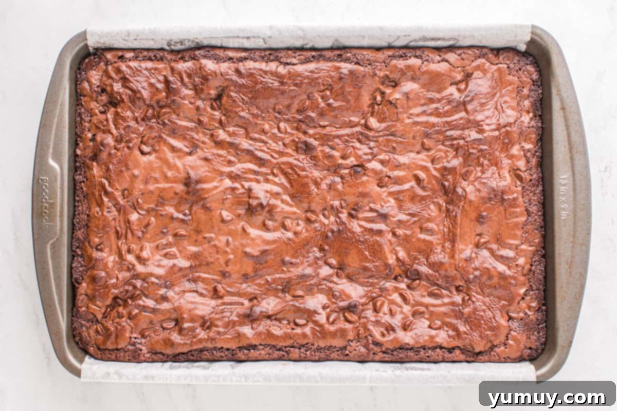 A freshly baked pan of Slutty Brownies, showing the deep brown top layer, cooling on a wire rack.