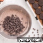 Brownie mix and chocolate chips in a bowl, ready to be mixed.