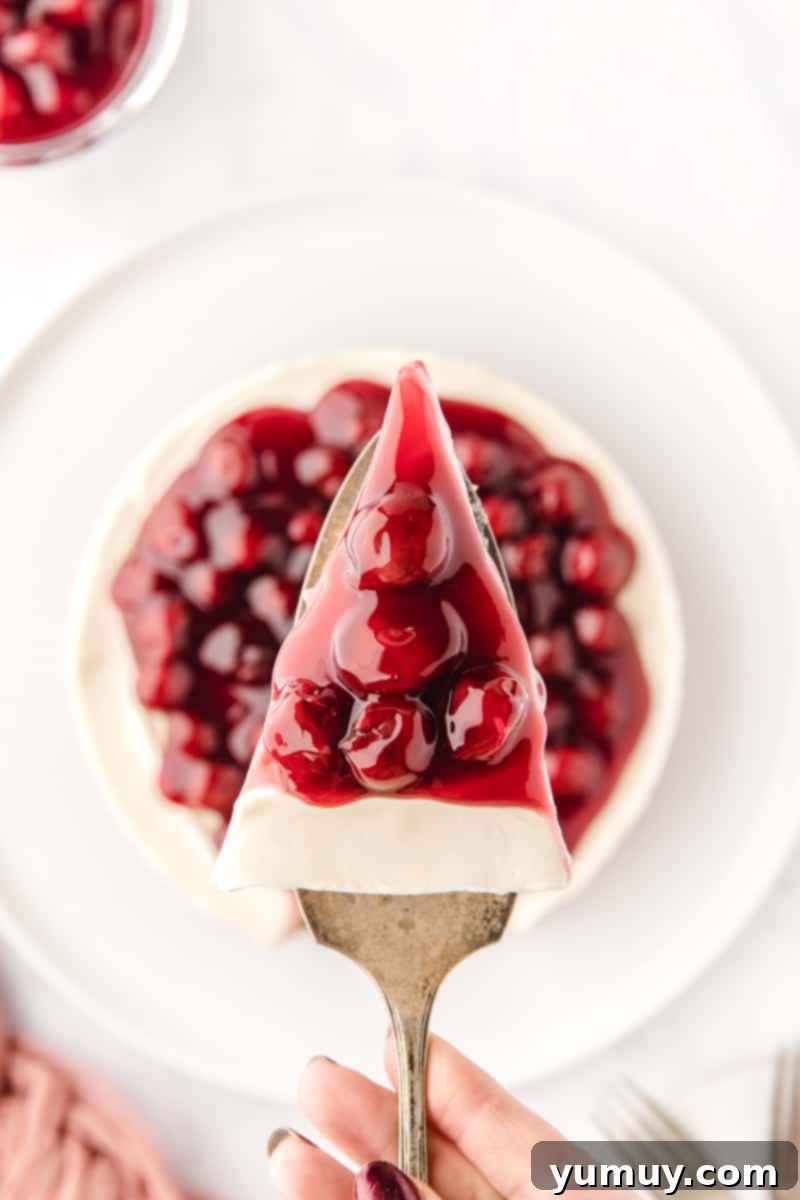 A person holding a perfectly sliced piece of no-bake cherry cheesecake on a fork, showcasing the creamy filling and vibrant cherry topping.