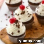 black forest cupcakes topped with chocolate shavings and maraschino cherries.