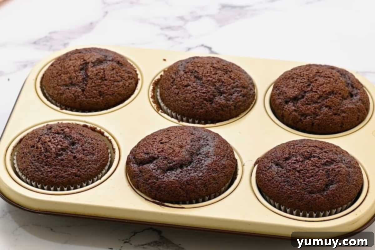 baked chocolate cupcakes in a cupcake tin.