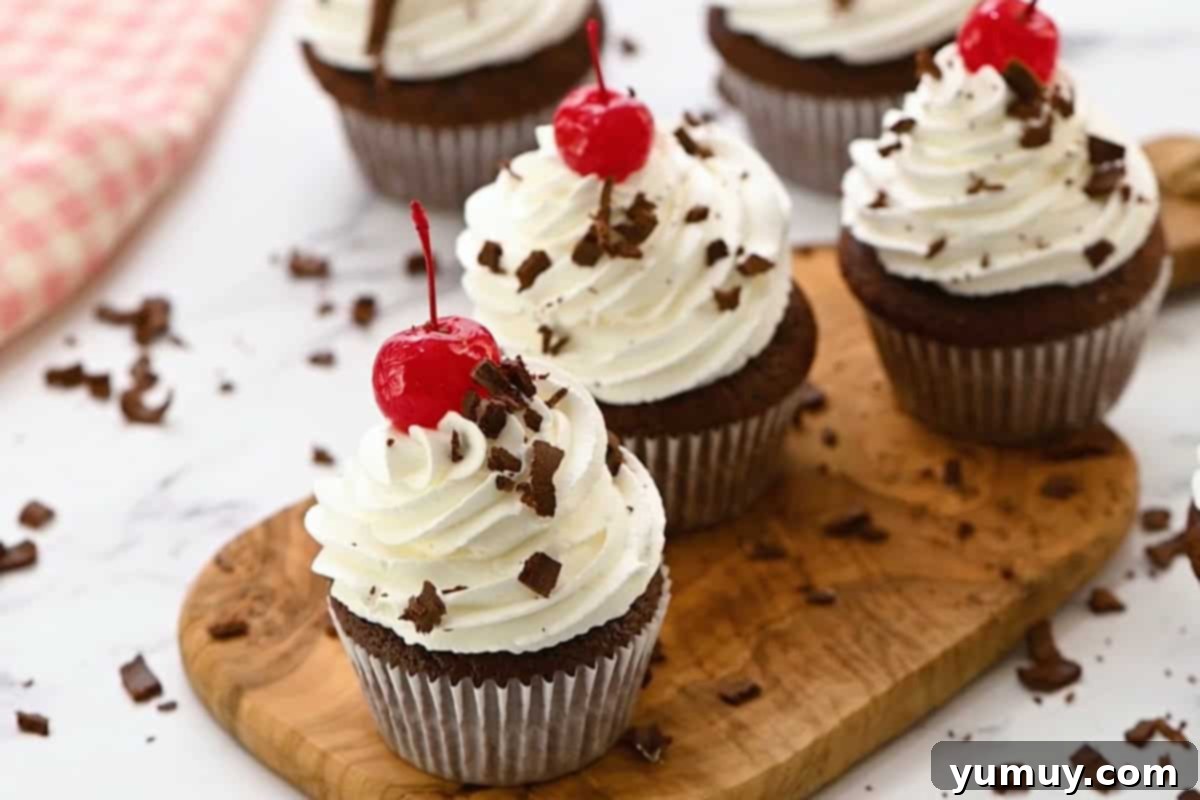 black forest cupcakes topped with chocolate shavings and maraschino cherries.