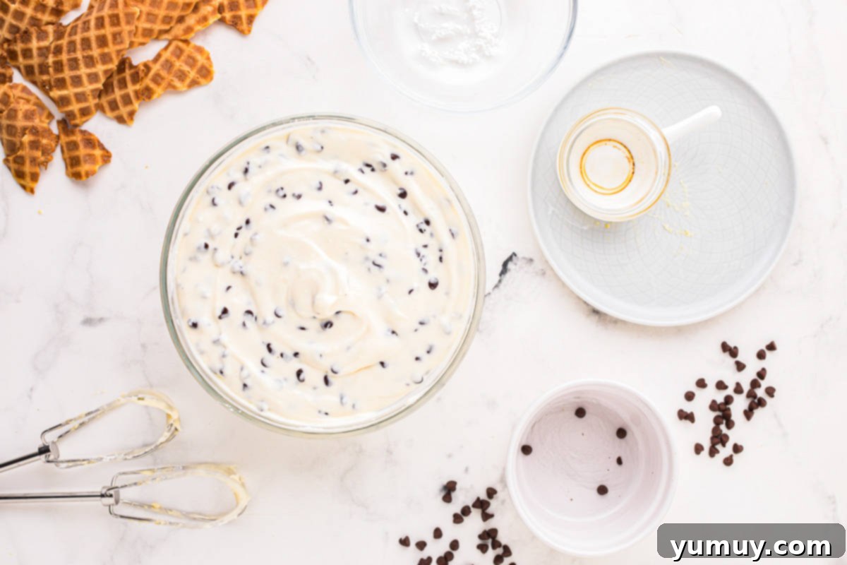 Homemade Cannoli Bliss 16 A bowl of ice cream with chocolate chips and wafers.