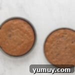 two round cake pans on a marble surface, freshly out of the oven.