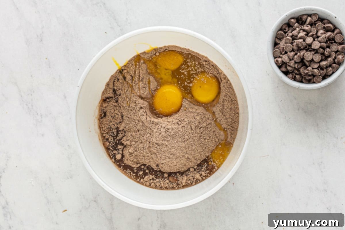 Dry chocolate cake mix, vegetable oil, and eggs being whisked together in a white mixing bowl, forming the cookie dough base.
