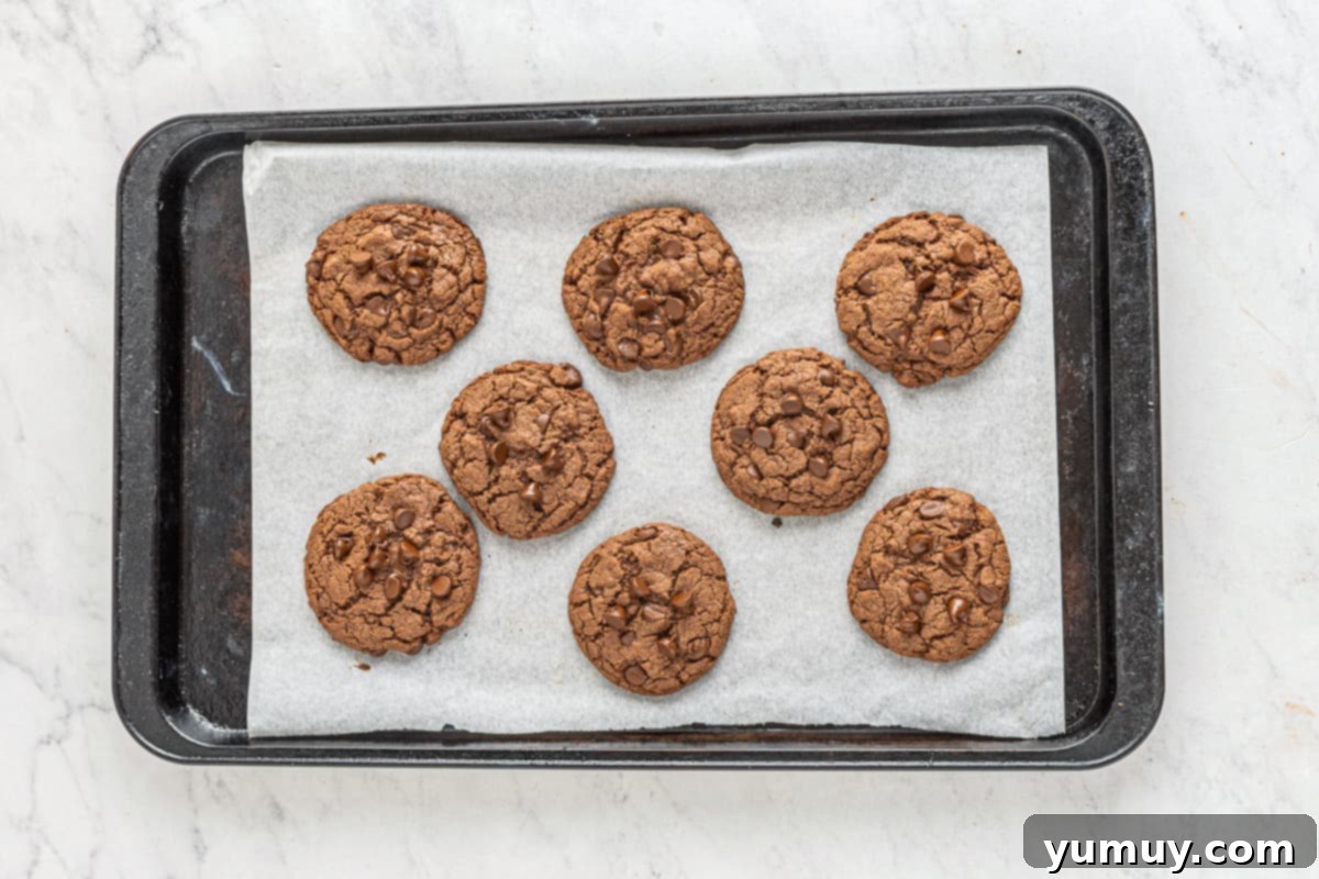 Eight freshly baked chocolate cookies, golden at the edges and glistening with melted chocolate chips, resting on a parchment-lined baking sheet after baking.