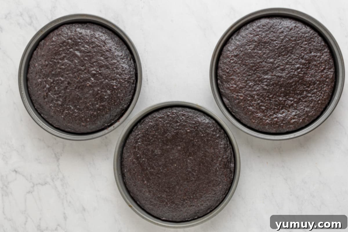 Three perfectly golden-brown chocolate cake layers cooling in their round cake pans on a wire rack, freshly baked and awaiting assembly.