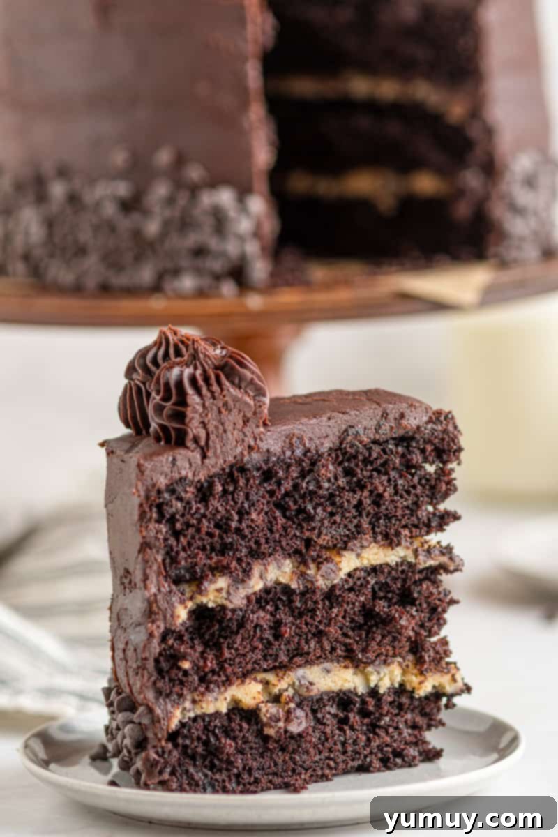 A pristine slice of chocolate cookie dough layer cake resting on a white plate, showcasing the distinct layers of rich chocolate cake and the thick, delightful cookie dough filling.