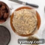 A perfectly formed cookie dough layer resting on top of a chocolate cake layer, demonstrating the precise assembly.