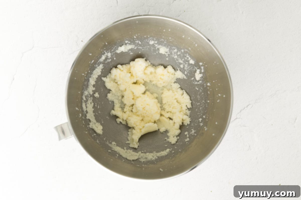 Chocolate Kissed Biscotti 5 how to make chocolate dipped biscotti