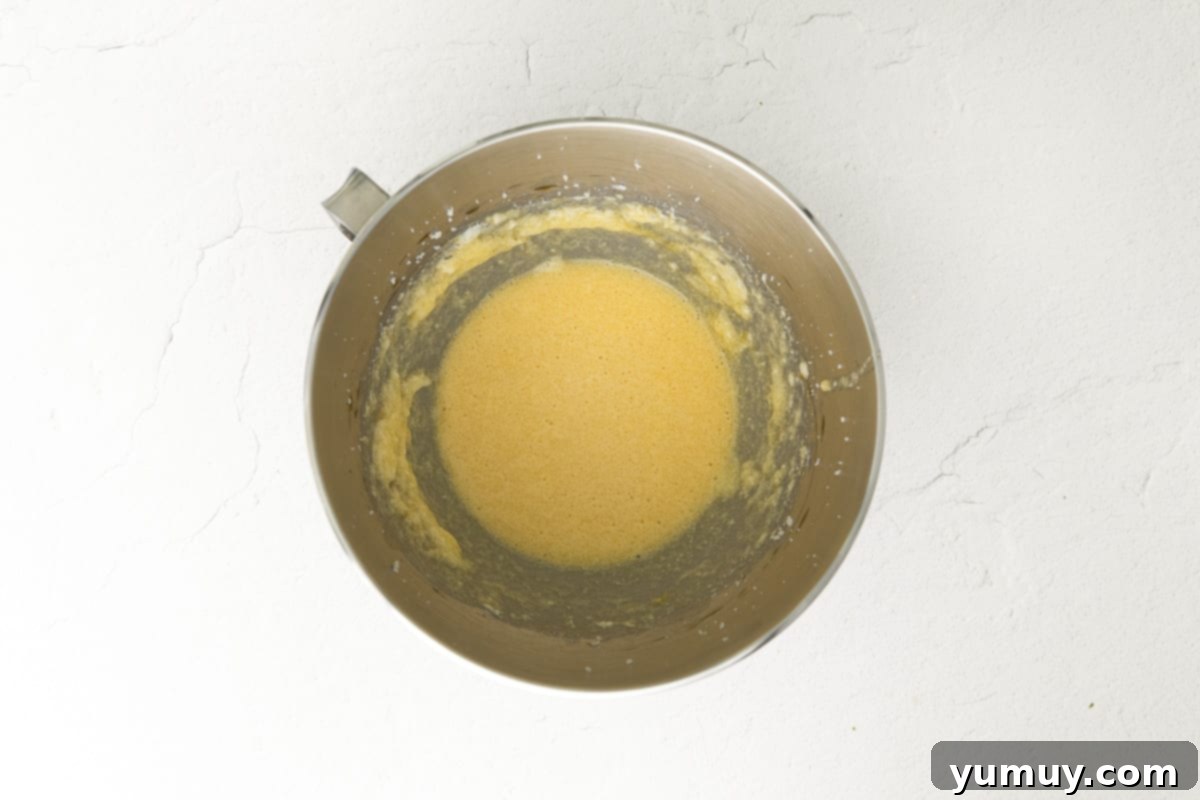 Chocolate Kissed Biscotti 6 how to make chocolate dipped biscotti