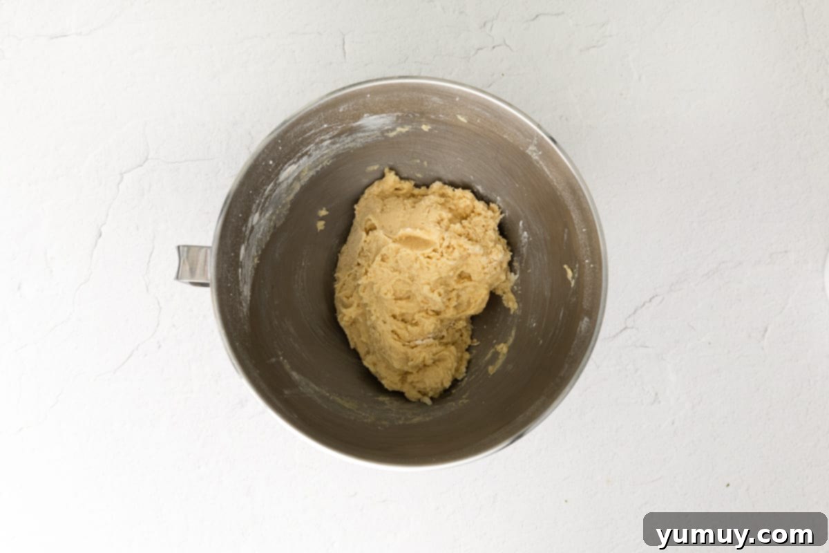 Chocolate Kissed Biscotti 7 how to make chocolate dipped biscotti