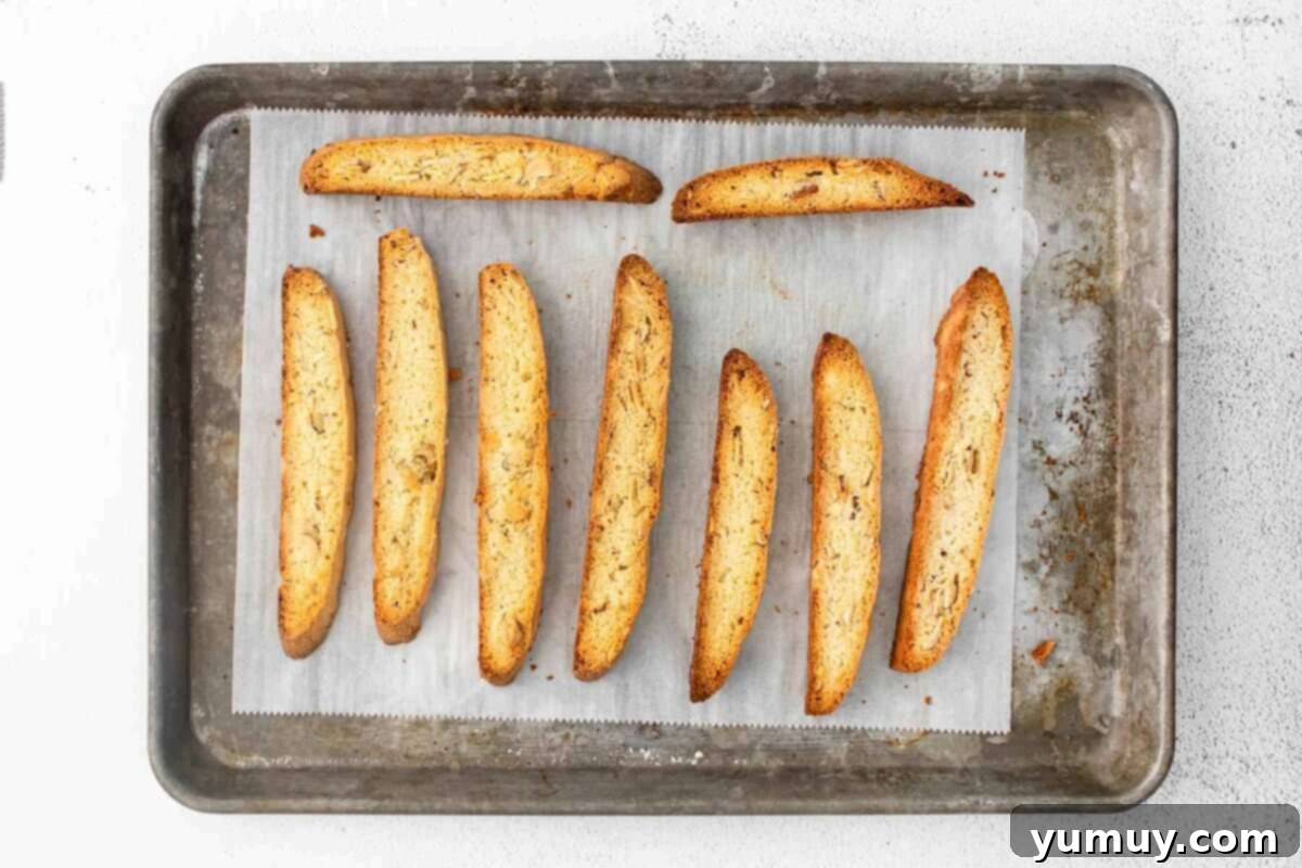 Chocolate Kissed Biscotti 8 baked biscottis on sheet pan