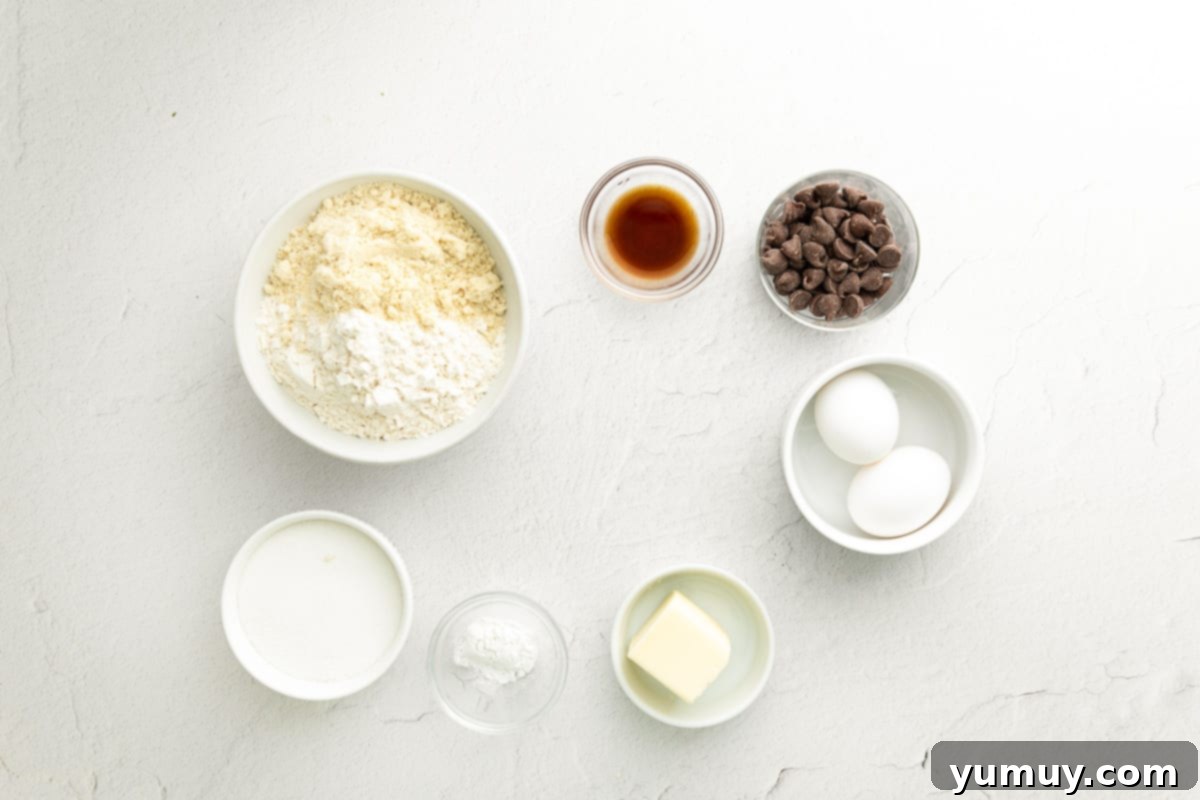 Chocolate Kissed Biscotti 4 how to make chocolate dipped biscotti