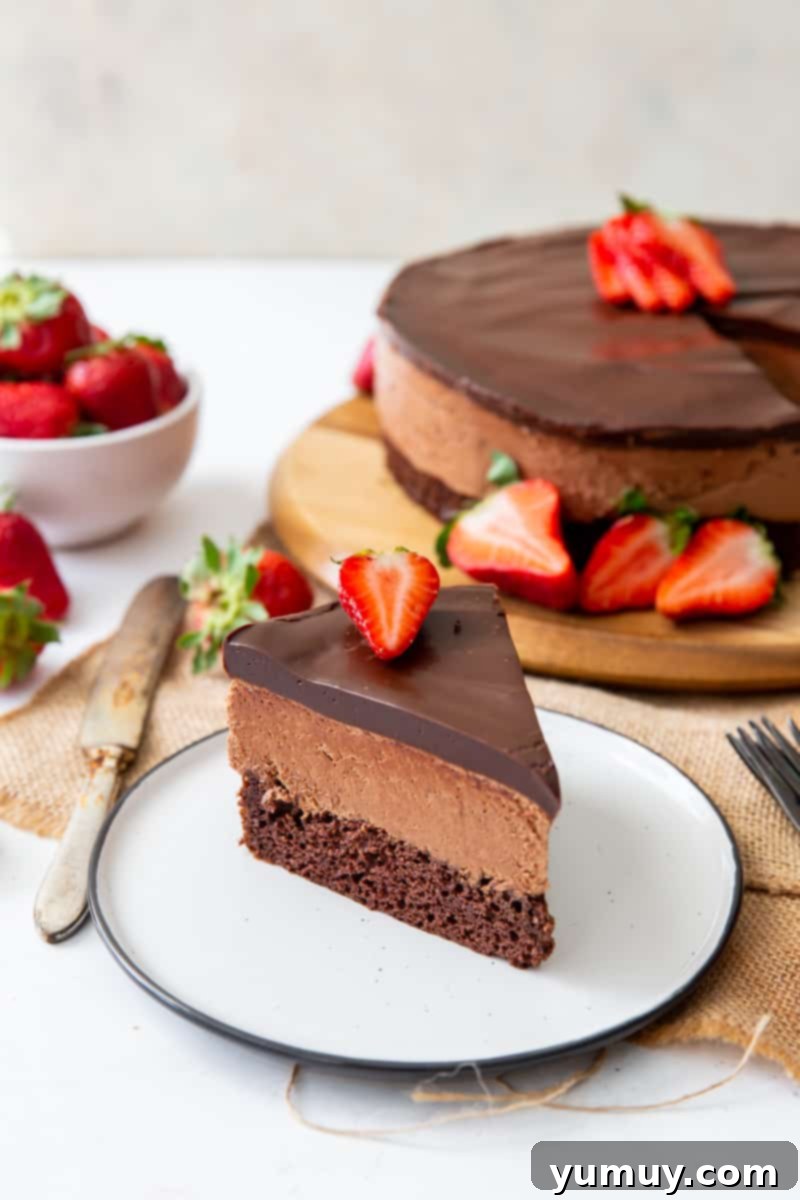 Decadent Chocolate Dream Cake 2 slice of chocolate mousse cake on a white plate