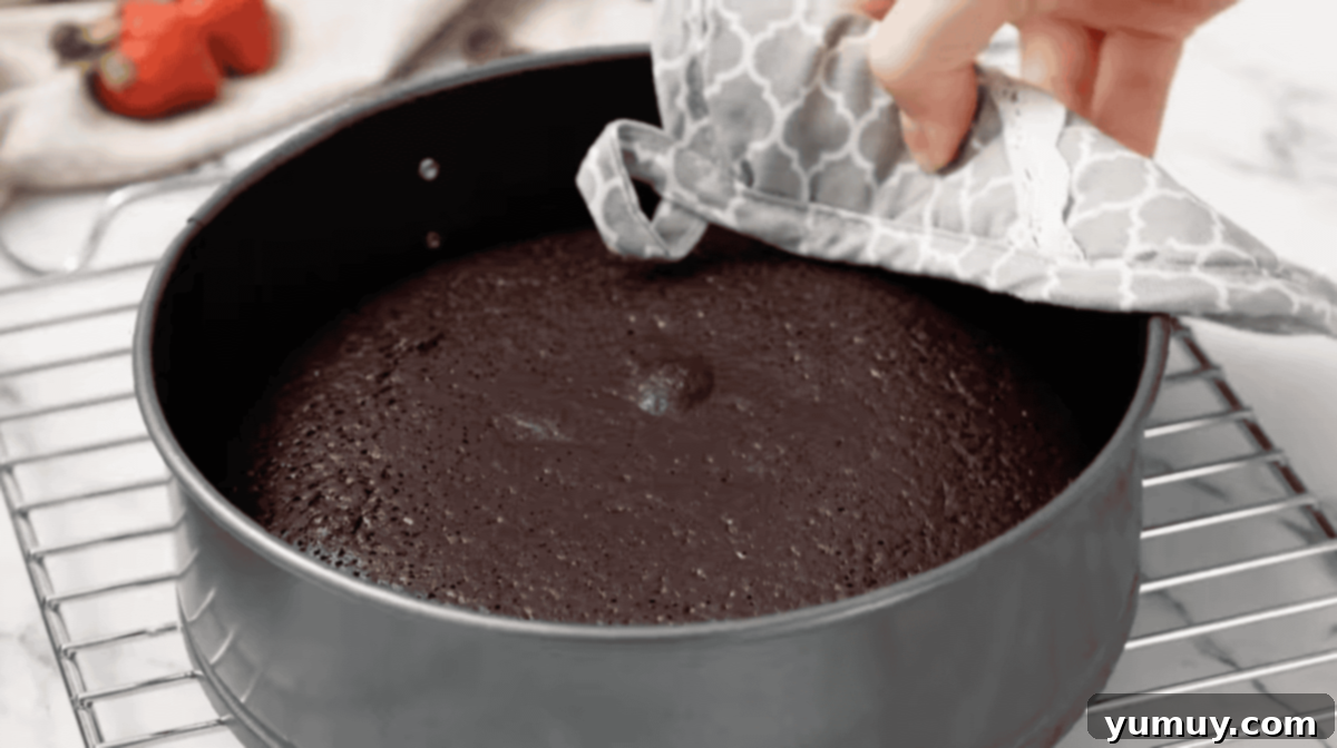 Decadent Chocolate Dream Cake 13 baked chocolate cake in a springform pan.