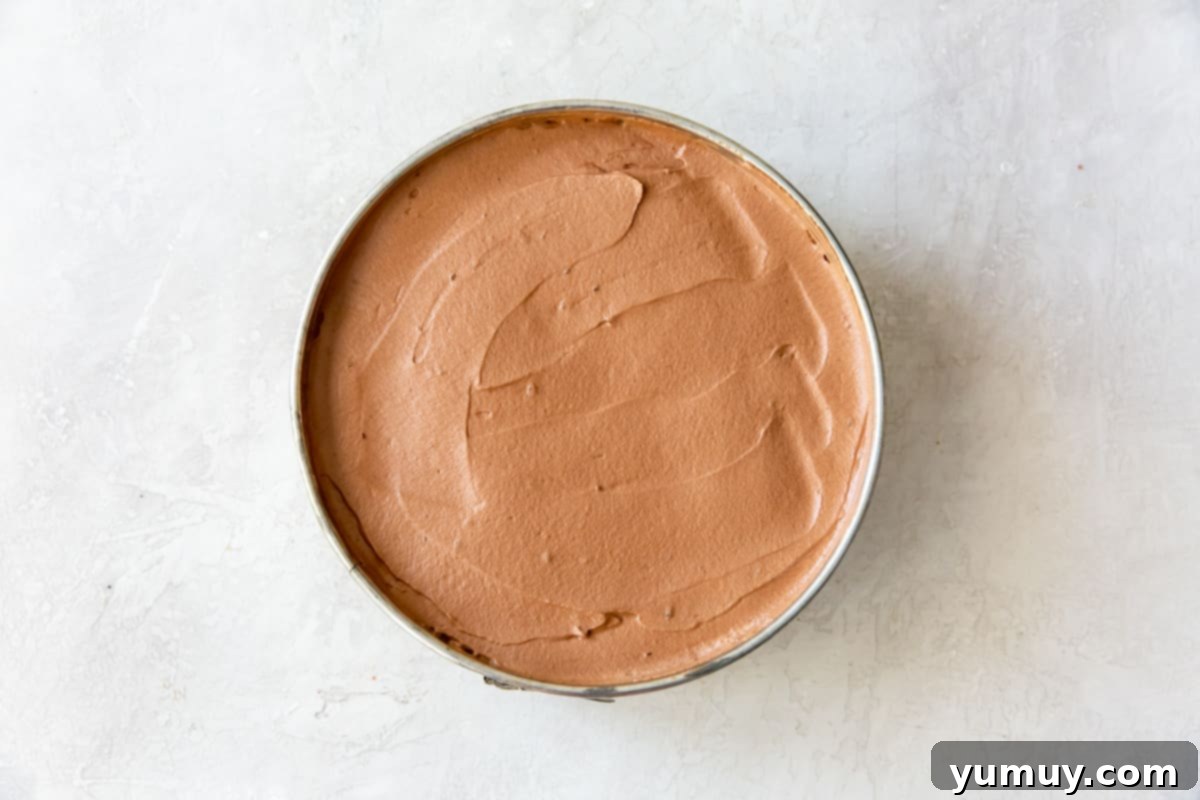 Decadent Chocolate Dream Cake 18 chocolate mousse layer spread on top of chocolate cake