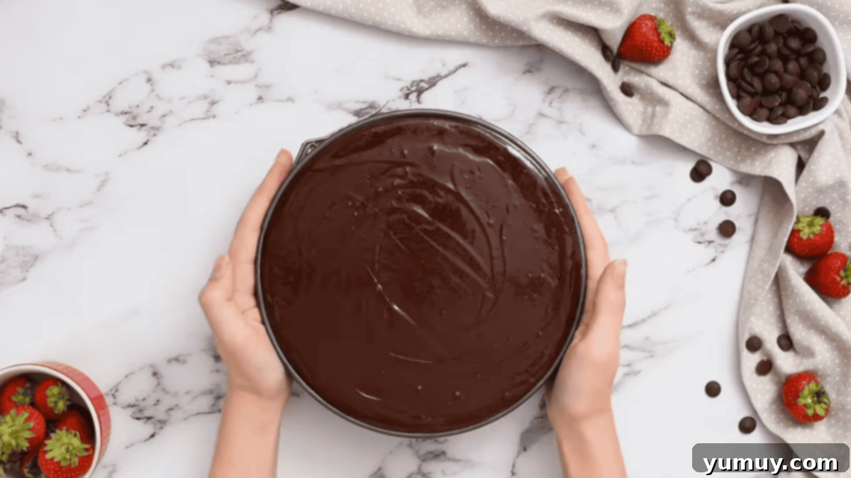 Decadent Chocolate Dream Cake 19 chocolate ganache over chocolate mousse cake in a cake pan.