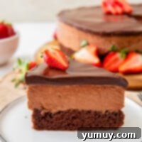 Decadent Chocolate Dream Cake 4 featured chocolate mousse cake