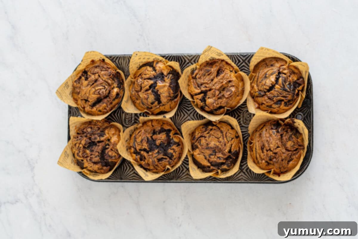 chocolate peanut butter muffins in a muffin tin after baking