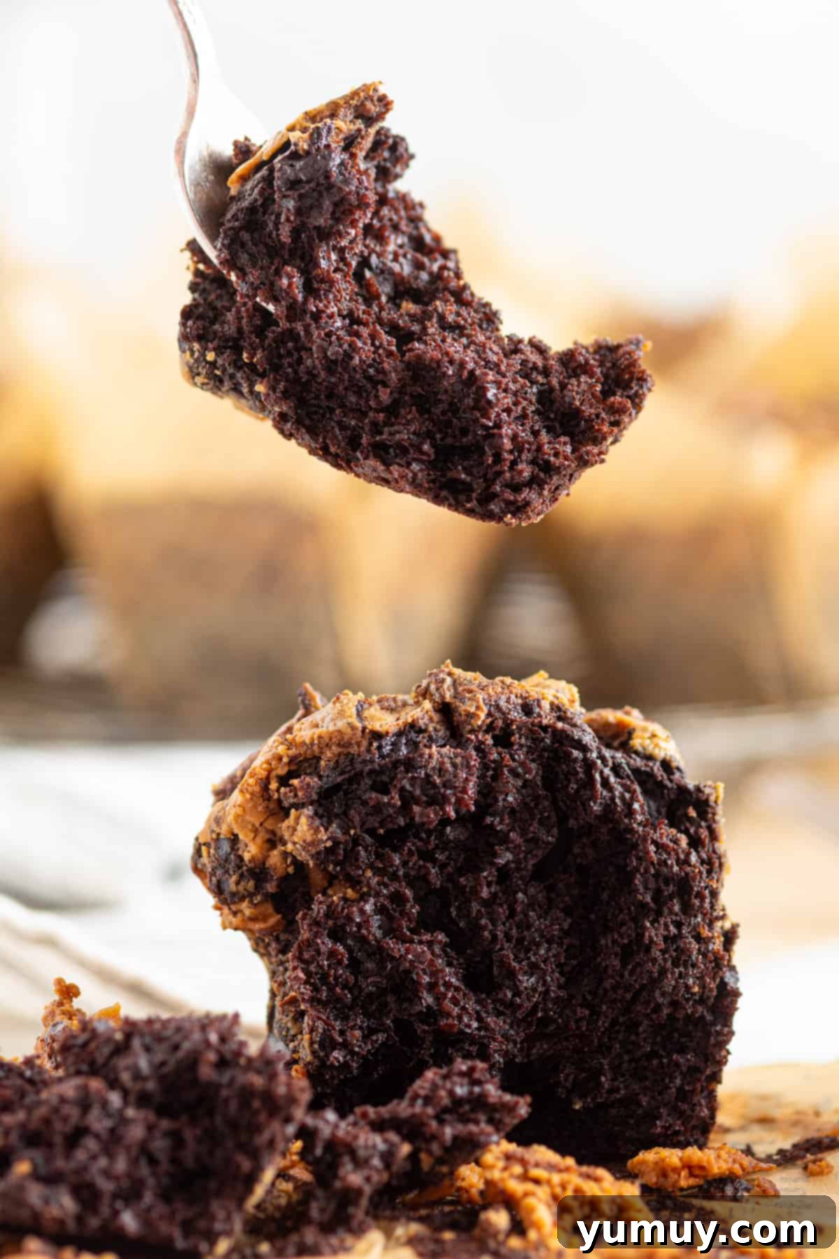 forkful of chocolate peanut butter muffin