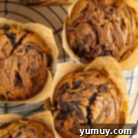 overhead image of chocolate peanut butter muffins on a cooling rack