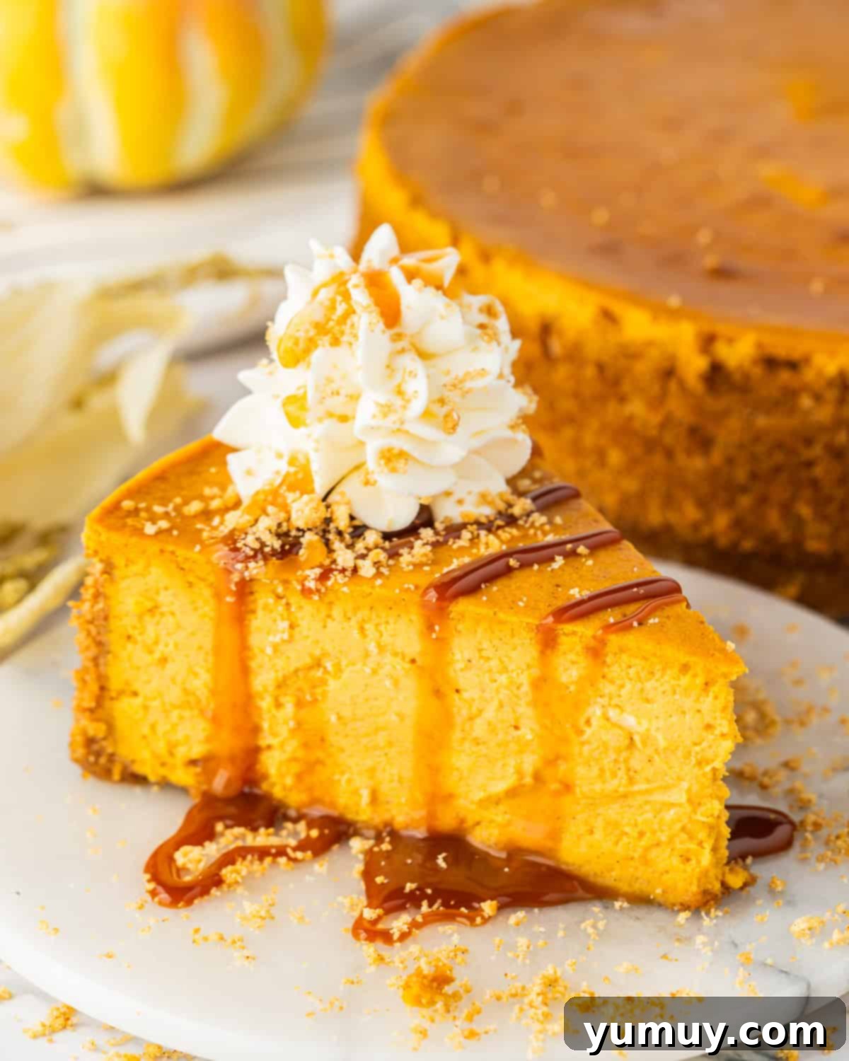 A beautifully presented slice of pumpkin cheesecake, generously drizzled with rich caramel sauce and topped with a swirl of whipped cream, resting on an elegant white plate.