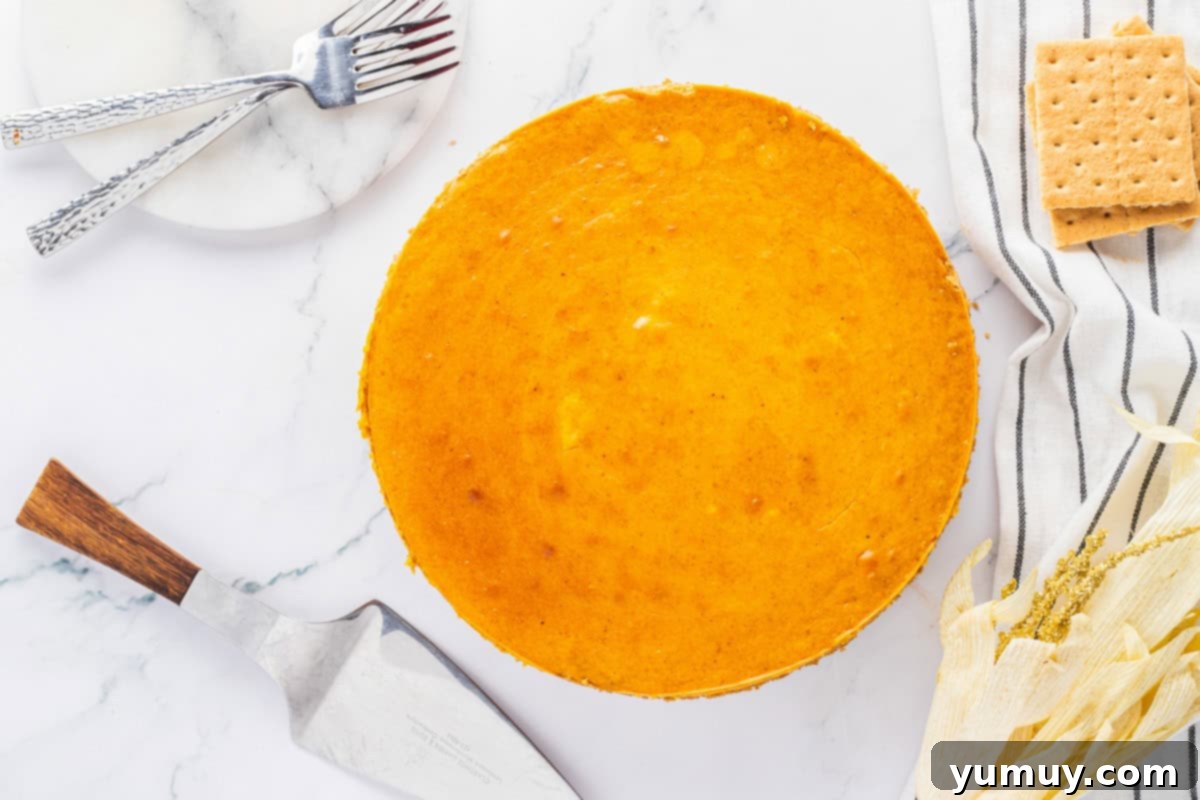 A perfectly baked pumpkin cheesecake, golden brown and smooth, resting on a white cake stand, ready to be served.