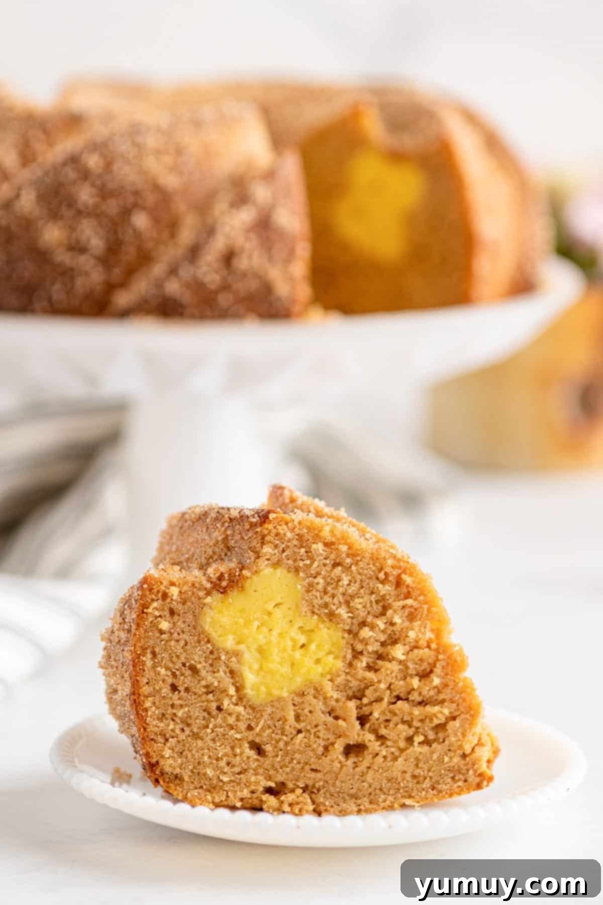Golden Cinnamon Bundt Cake 2 featured churro bundt cake.