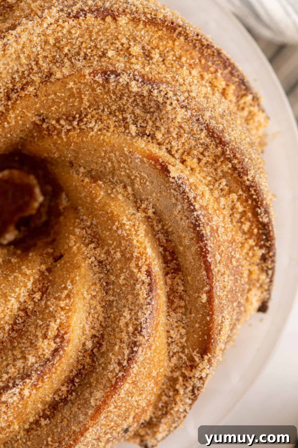 Golden Cinnamon Bundt Cake 3 close up of churro bundt cake.