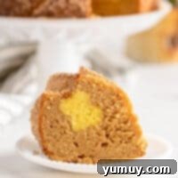 Golden Cinnamon Bundt Cake 4 featured churro bundt cake.