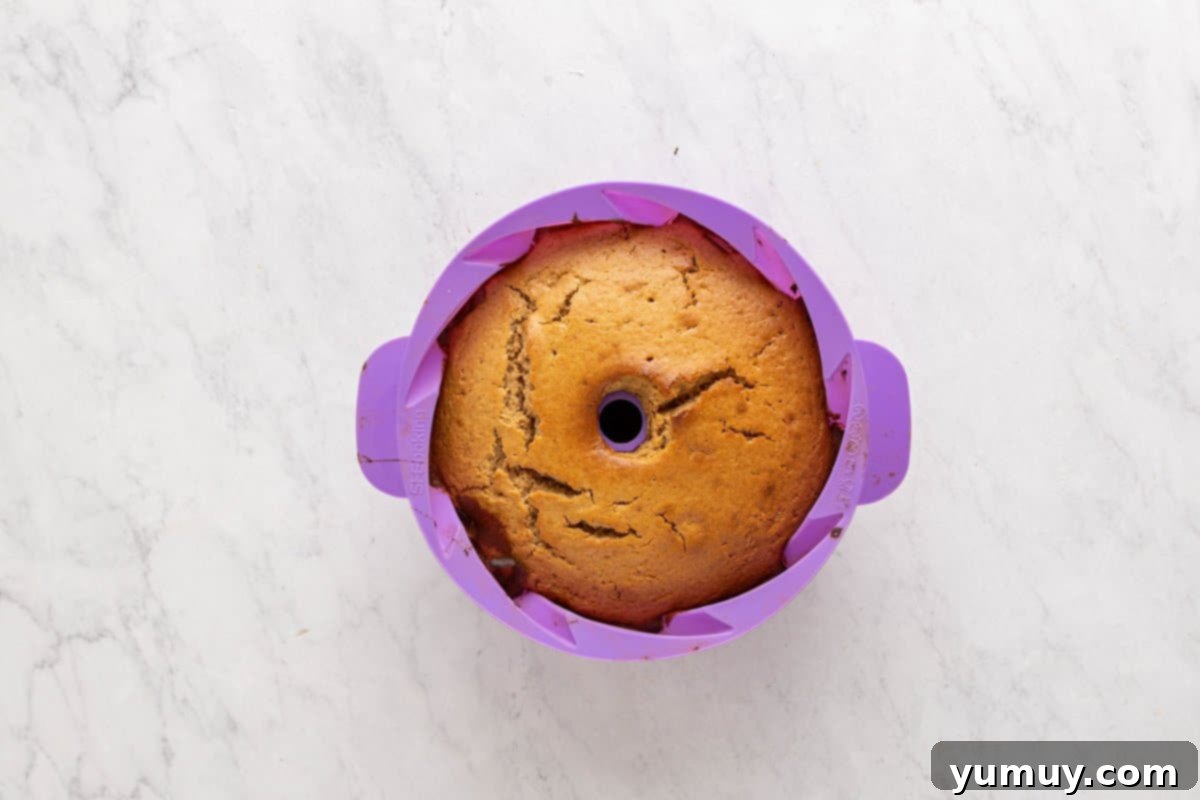 Golden Cinnamon Bundt Cake 31 baked churro bundt cake in a purple silicone bundt mould.