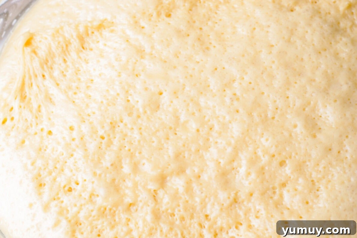 Homemade Krispy Kreme Glazed Donuts 15 dough after rising