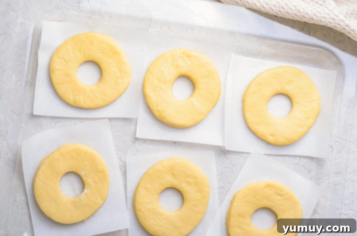 Homemade Krispy Kreme Glazed Donuts 16 circles of dough, before frying