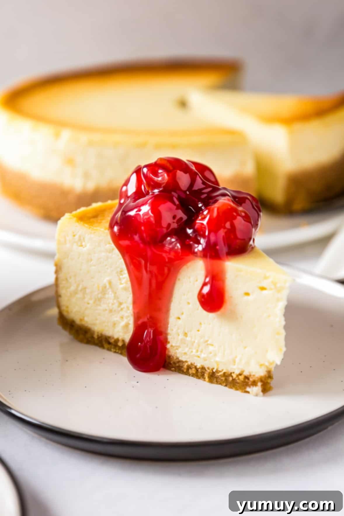 Big Apple's Creamy Delight 2 new york cheesecake topped with cherries